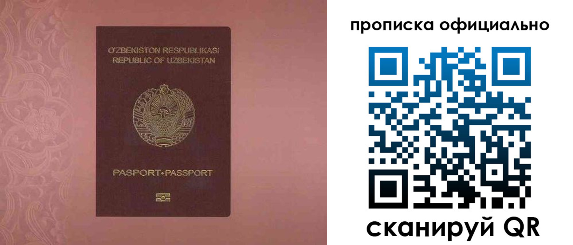 прописка гарантия в Емве